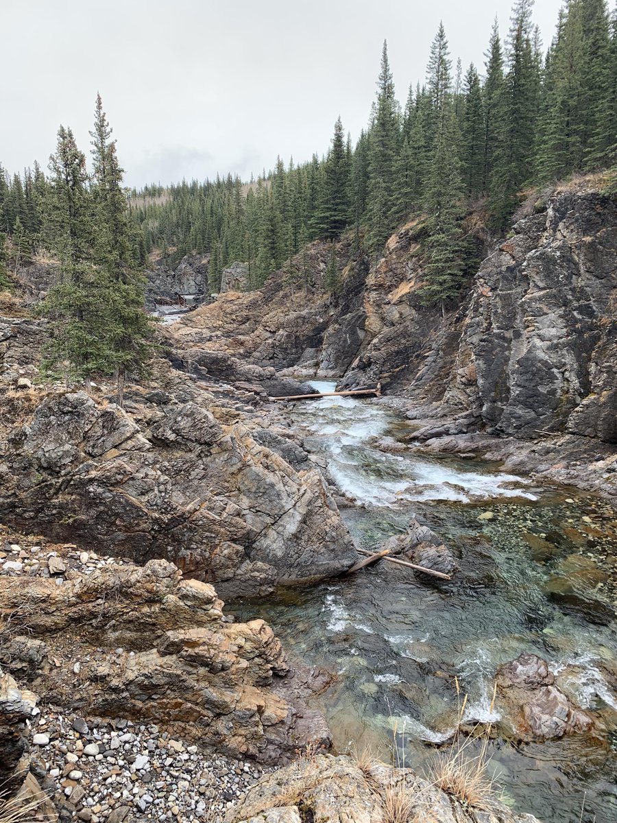 gorgeous_pix's tweet photo. "A little slice of heaven in our backyard: Sheep River, Alberta. From u/Mcratz on /r/earthporn #sheepriver #littleslice #heaven #backyard #alberta #earthporn" https://t.co/k9z23dQ1Ca