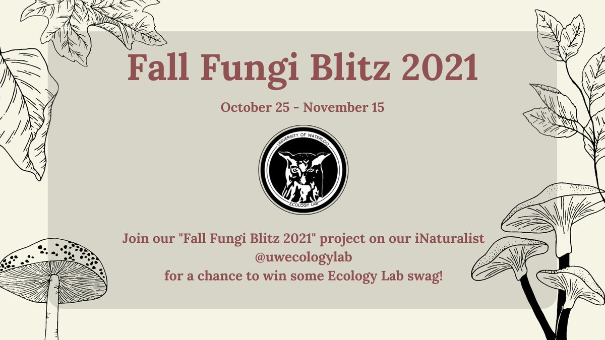 Fall Fungi Blitz is back for 2021! Join our 3 week iNaturalist project at inaturalist.org/projects/fall-… to join the project, which also enters you in our prize draw! Only members of the UW community are eligible for the prize. Happy hunting!🍄🔍