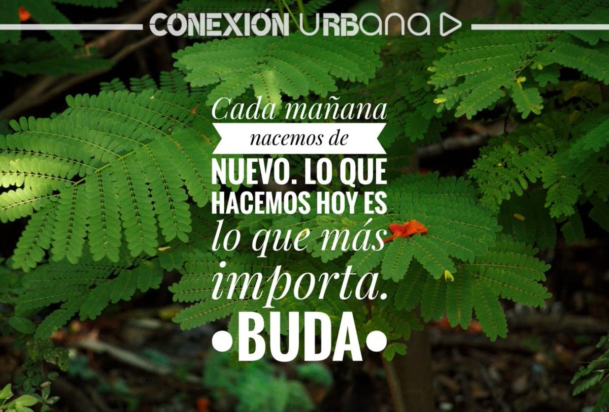 urbana_conexion's tweet photo. 🎉 Iniciamos este gran proyecto para compartir contenido especialmente creado para ti, porque sabemos que te gusta estar al tanto de cualquier novedad. 

▶️ Conexión Urbana, un espacio para conocer tu comunidad y a gente real como tú.

👍🏼 Síguenos en nuestras redes sociales. https://t.co/pBpY4aPJnt