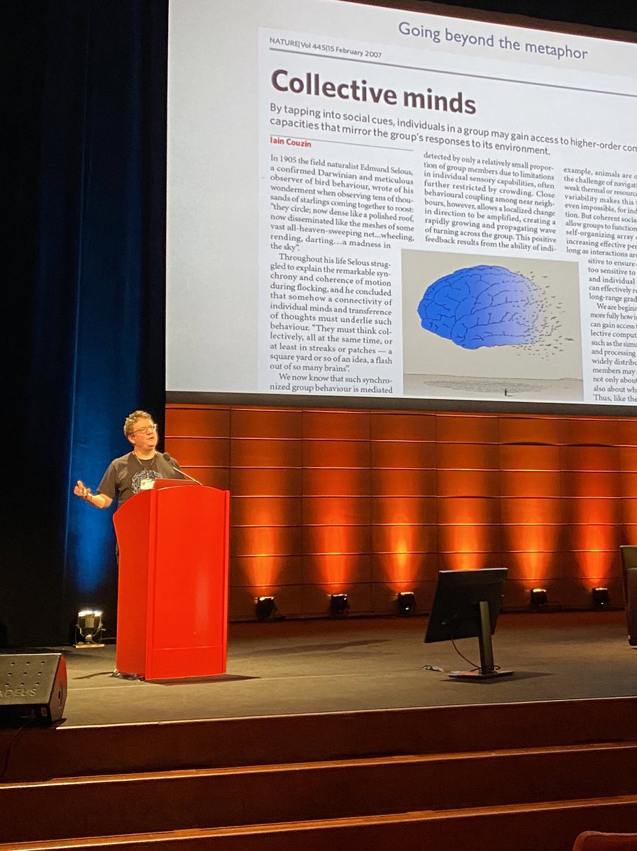 ciro's tweet image. Spectacular talk by @icouzin at #CCS2021 in Lyon. Love to see theory guiding (mindblowing) experiments, and experimental data driving theory forward. Complexity science at its best :)