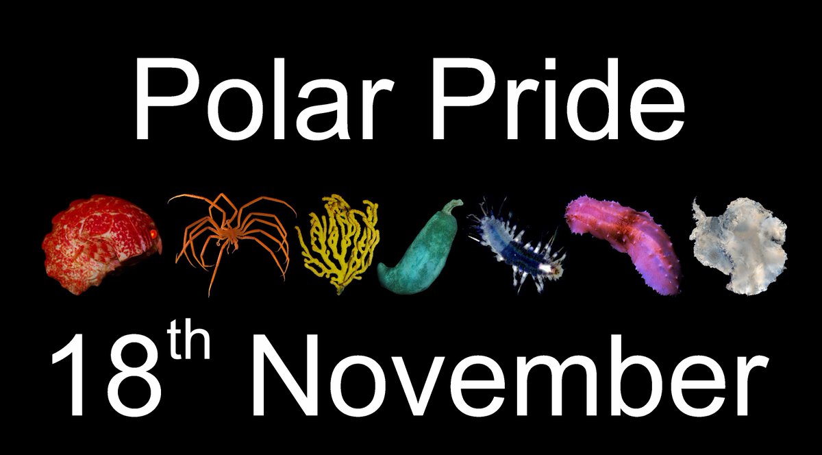 Save the date: #PolarPride2021 is coming, 18th of November! How will you celebrate?
@LGBTSTEMDay  #LGBTQSTEMDay #PolarPride #PolarPrideDay @BAS_News @UKPolarNetwork 
#DiversityInPolarScience