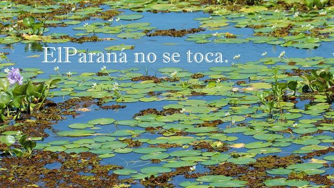 #Hoy, 18.30 hs,  el Ciclo de Ecología del @CCRF_MR  recibe la visita de la organización El Paraná NO se toca 
👉 bit.ly/398BqaC 
#gratis