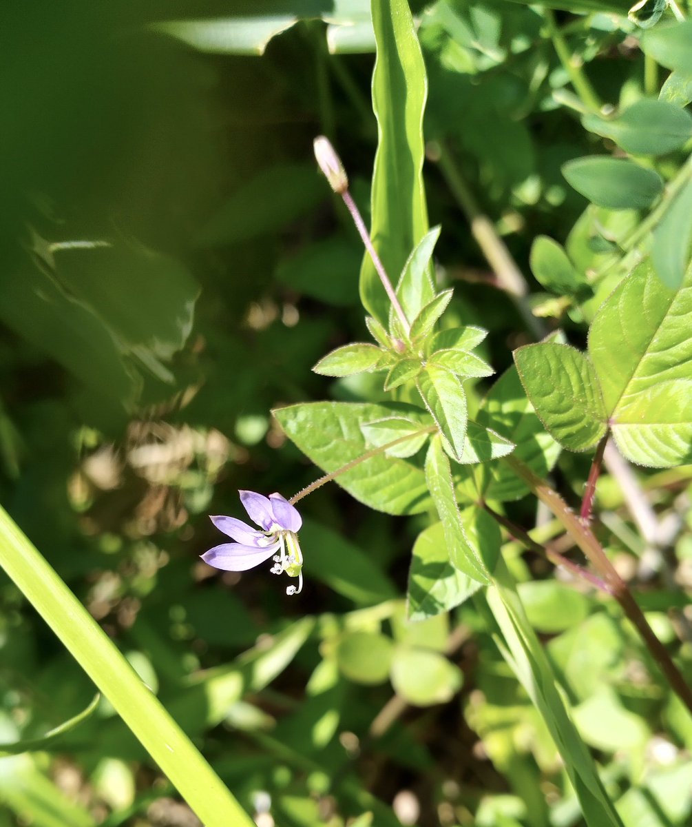 LuckNChallenge tweet media