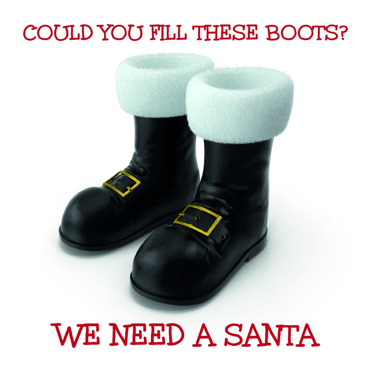 Tees Active tweet media