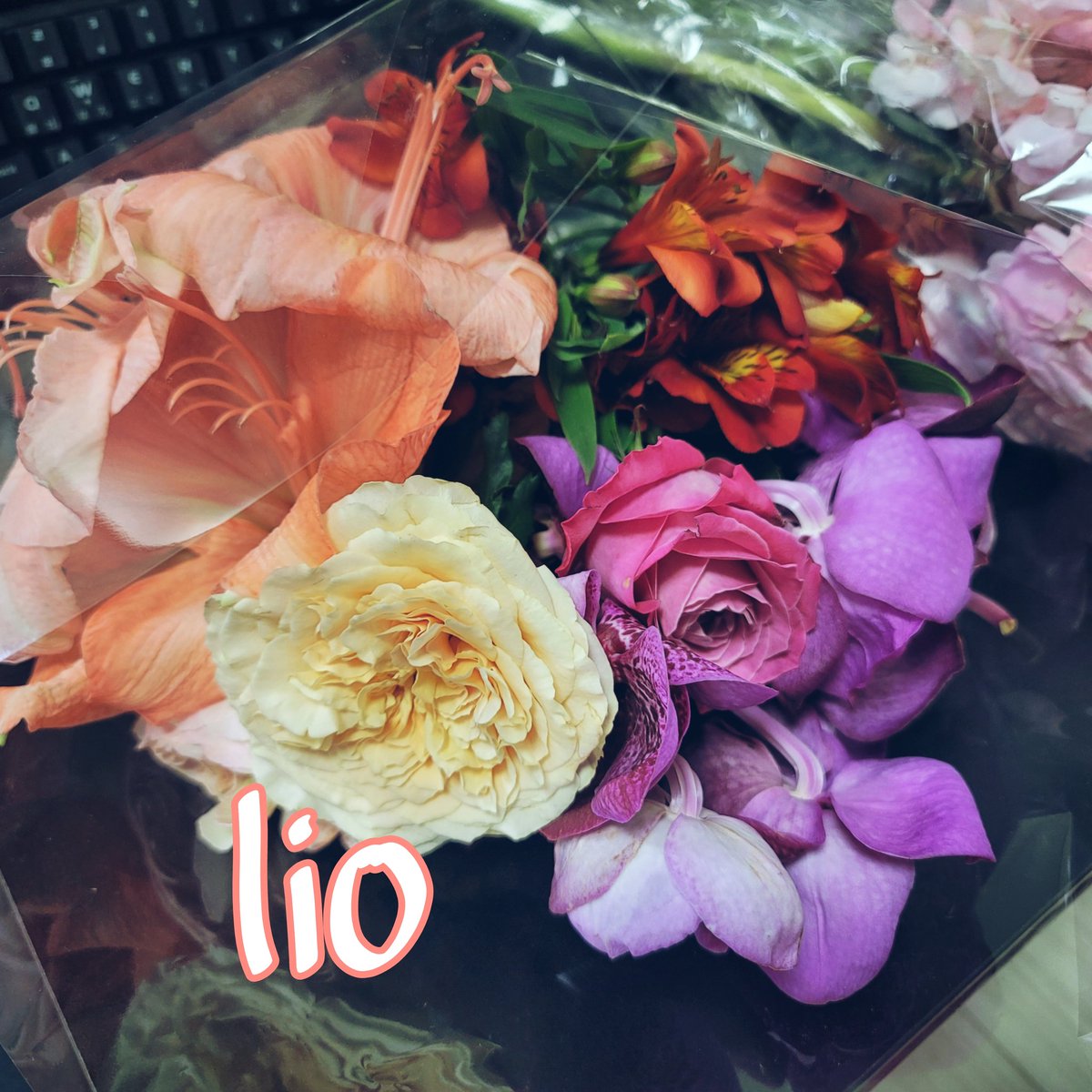lio_0ill's tweet photo. 받은 것은 아니지만
꽃다발이라는 존재만으로도.
사람의 기분을 좋게하는 것 같다.

꽃 선물을 좋아하는 편은 아니지만.
받으면 기분이 좋은 이유��.

받는 사람을 생각하며 꽃을 고르는 너의 마음과
들고오는 동안 시선을 받으며 부끄러움을 참아낸
너의 마음때문이지 않을까.

#일상트 https://t.co/wpLArX7J3S