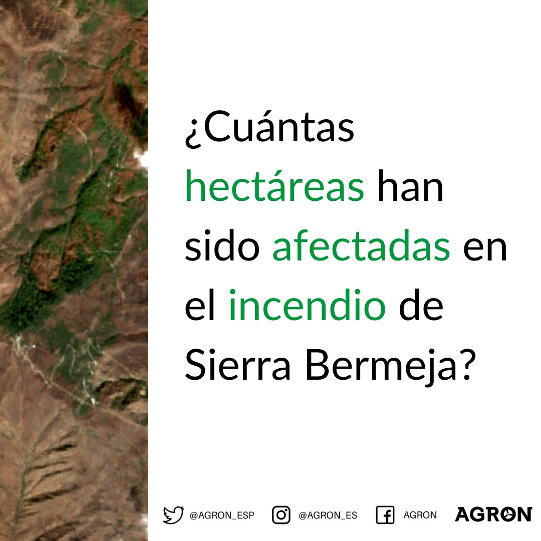 Hace más de un mes desde que se inició el incendio forestal de Sierra Bermeja. Recién considerado extinguido, es el momento de evaluar y analizar los daños naturales en las 10.000 hectáreas afectadas.

Consulta la gravedad del incendio:

🌐agron.app/incendio-sierr…
