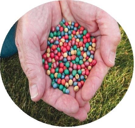 DirectEntInc's tweet photo. #LetsTalk about #CustomBlending. Custom Blending is flexibility when you pick the a.i.’s of your choice for #Fungicides and/or #Insecticides that best fit your soil types while adding in #Colorants and/or #Polymers to achieve the appearance your desire. #TheDEIDifference https://t.co/bKPLJTvcEw