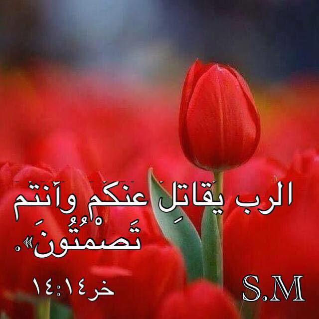 زكريا استاورو Zakaria Estawro tweet media