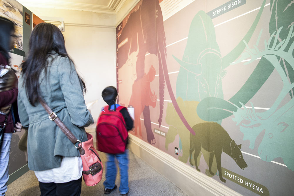 LancsMuseums's tweet photo. 🔍Our explorer backpacks at #ClitheroeCastle have had a revamp! We have added a fluffy dragon friend to be part of your museum adventure. Great for little kids and big kids too! 🐲🏰
Visit https://t.co/L7sS075vUH
#FamilyFun #MuseumMemories #MuseumExplorer #MuseumHunt https://t.co/nJymj1BDAc