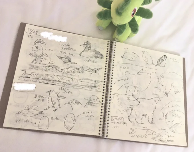 雑記2 
急遽動物園に行ったのでたくさんスケッチできて嬉しかった～ 