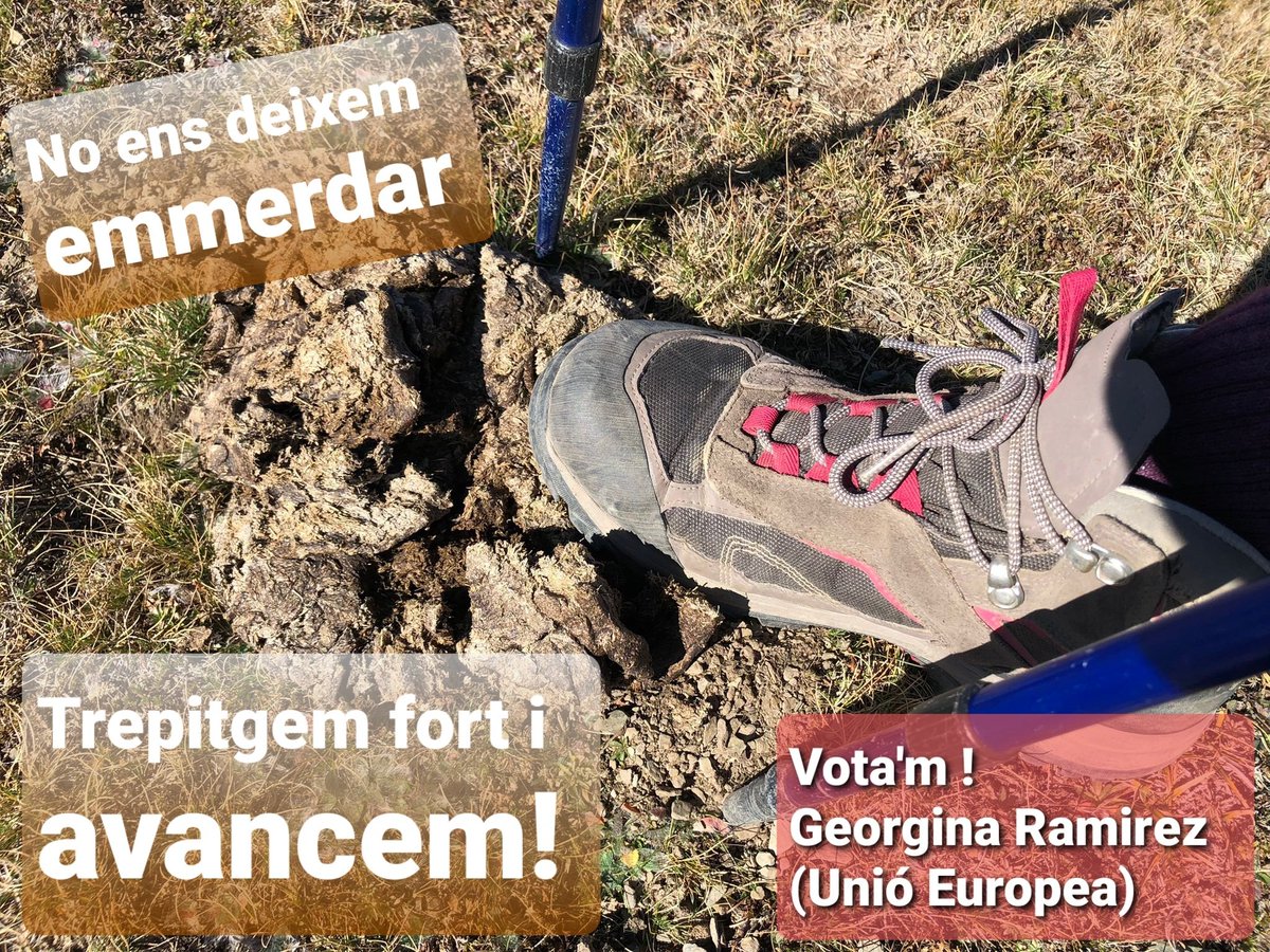 Organitzem-nos i avancem! 
#EleccionsAR #CxR