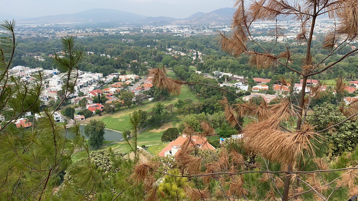 tortoledojatu's tweet photo. Terminando la rutina matutina, #sendereando #rutas #montañas https://t.co/v6x6orjjGZ
