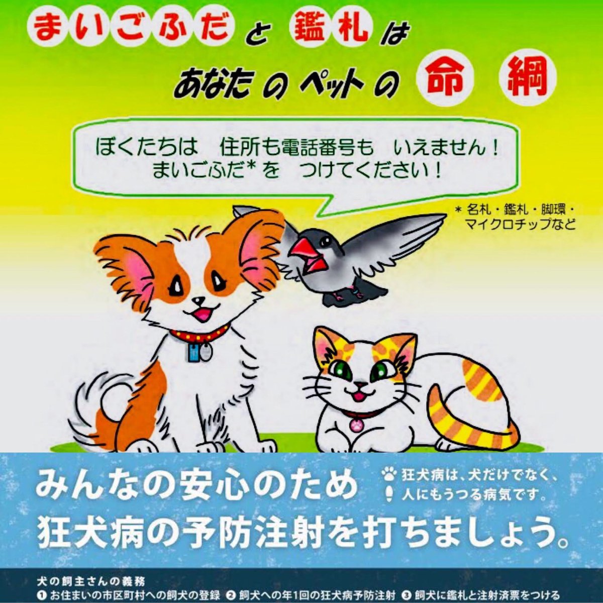 狂犬病 Twitter Search 狂犬病 Twitter Search