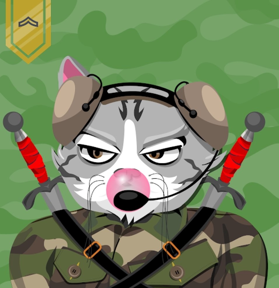 CharizardgoRAWR's tweet image. Alright so we are doing this. Its #madcatmonday and the profile pic is getting changed for the first time in a very long time. Ready for the 1v1s. #DevDiv is coming for the top.
@MadCatMilitia