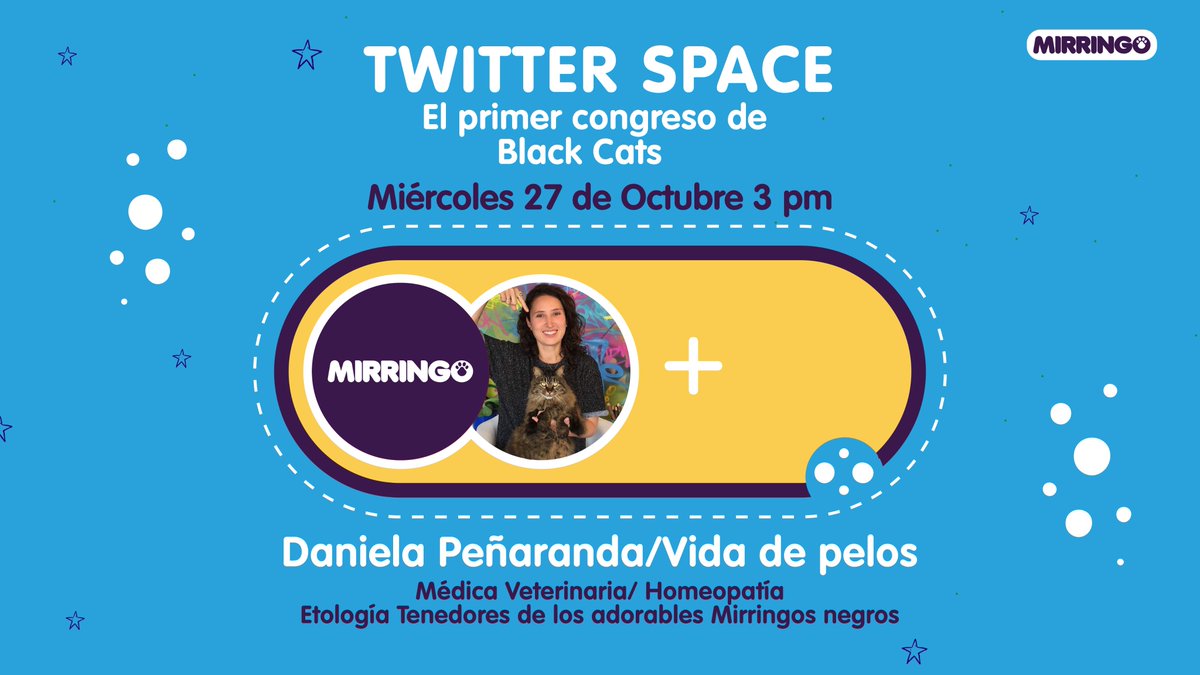 efectomirringo's tweet photo. Hoy Efecto Mirringo presenta con gusto….🥁
El primer congreso de Black Cats 🐈‍⬛
Un space con @vidadepelos
¡Pero el gran invitado eres tú! 😺 Pendientes más tarde a más info. ⌚ https://t.co/KA4LgWEZC6