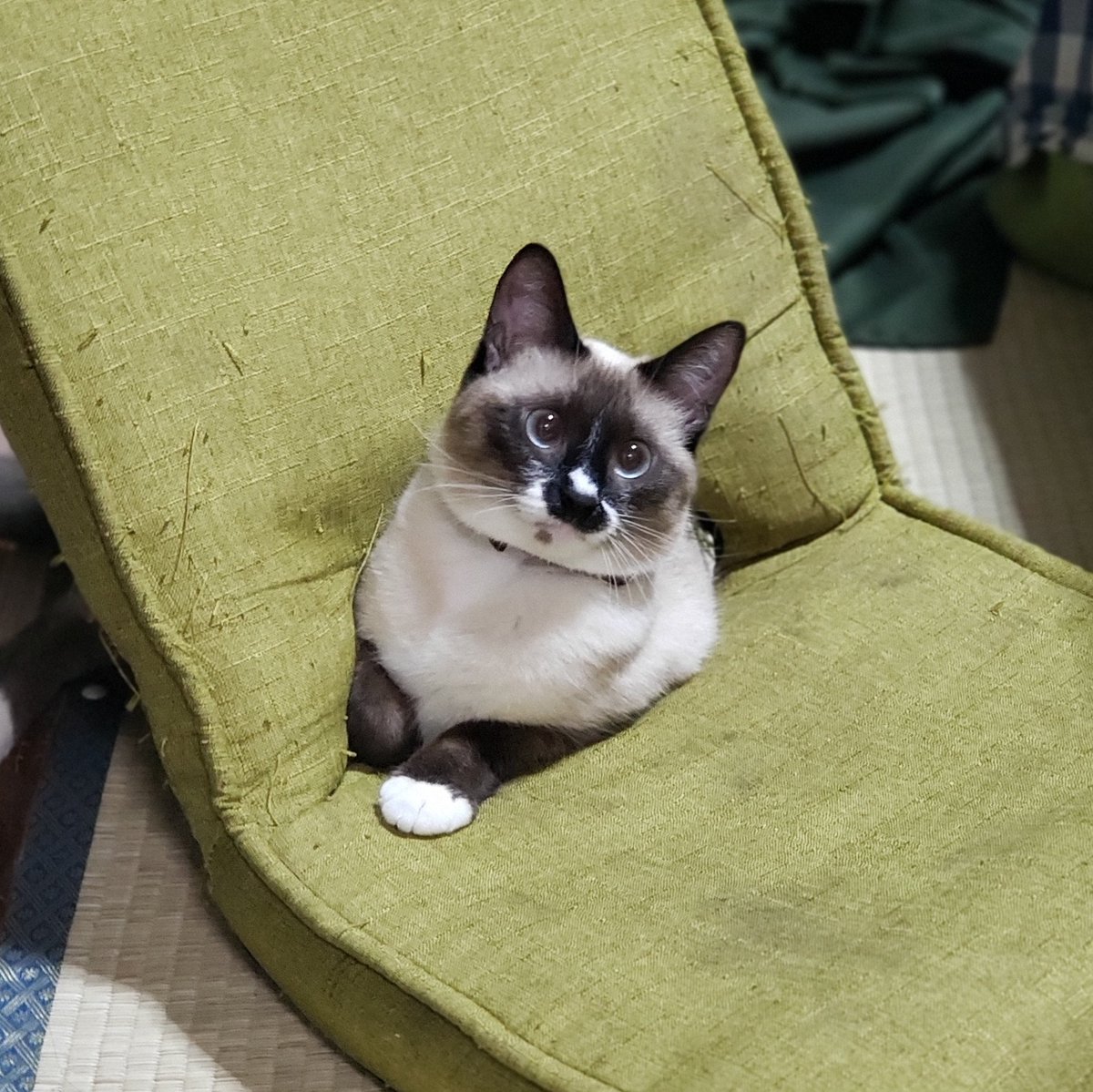 kmdr_h0's tweet photo. おきにのばしょ https://t.co/OPM4VENDvM
