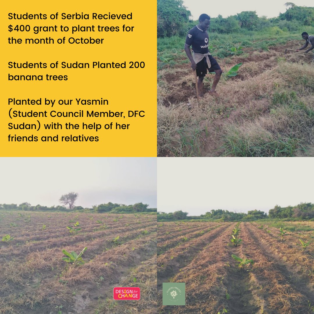 icandfc's tweet photo. Wonderful work done by the students of Serbia and Sudan.
Especially Yasmin (SCM, Sudan). Let's keep the good work going and plant more trees!!
#ican #dfcworld #designforchange #empower #countries #childrencan #wecan #togetherwecan #nature #savenature #conservation https://t.co/MNrtptUJLq