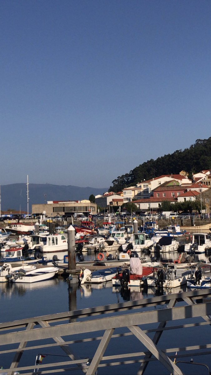 helefm's tweet photo. pois a jalisia profunda está de locos https://t.co/KANvysG1fw
