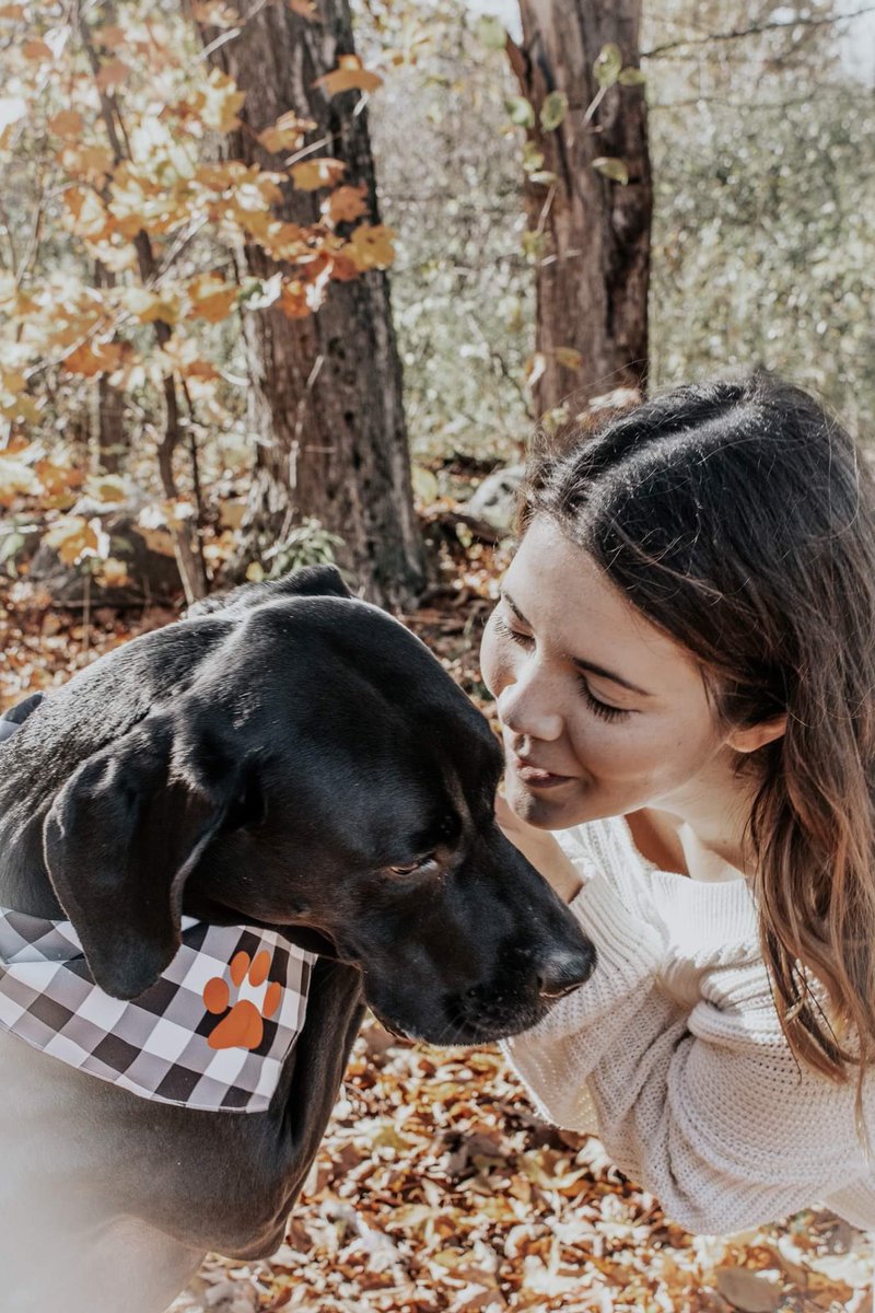bridget_rust's tweet photo. When your boyfriend is too busy to get photos done, you do a photo shoot with your dog 😂💕 https://t.co/CZlfIaZE6s