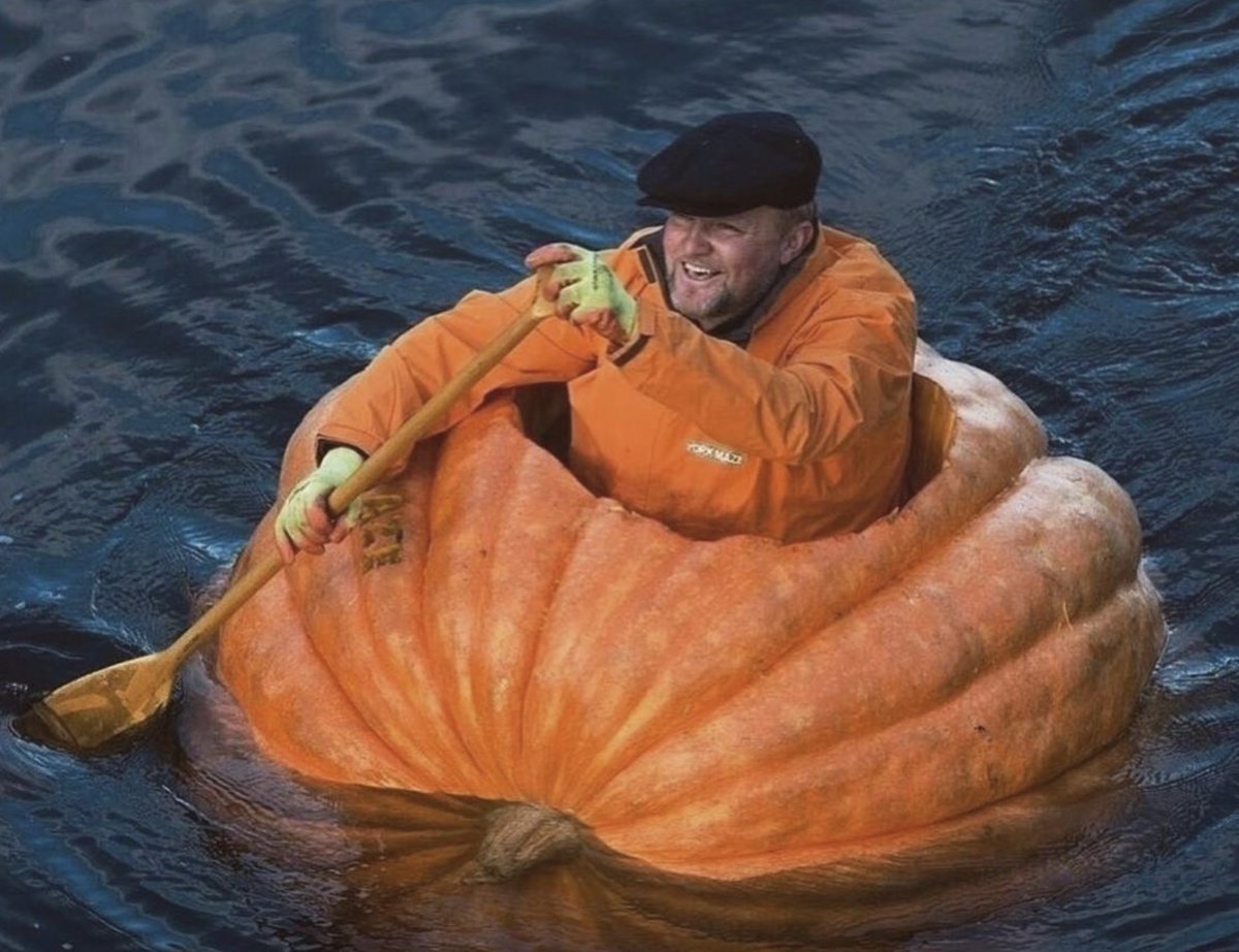 On my way to steal your Littles. 🎃

📸 @concepttalk