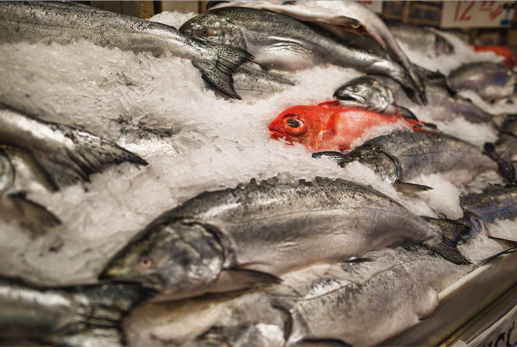 Sigma_Photo's tweet image. Join us at @samys_camera for a 3-part workshop where pro photographer Mark Edward Harris will be discussing the best ways to tell a story through images.
 
#SigmaTech Marc Farb will be on hand with SIGMA lenses for you to try during the workshop 

Details: bit.ly/3BcmMud