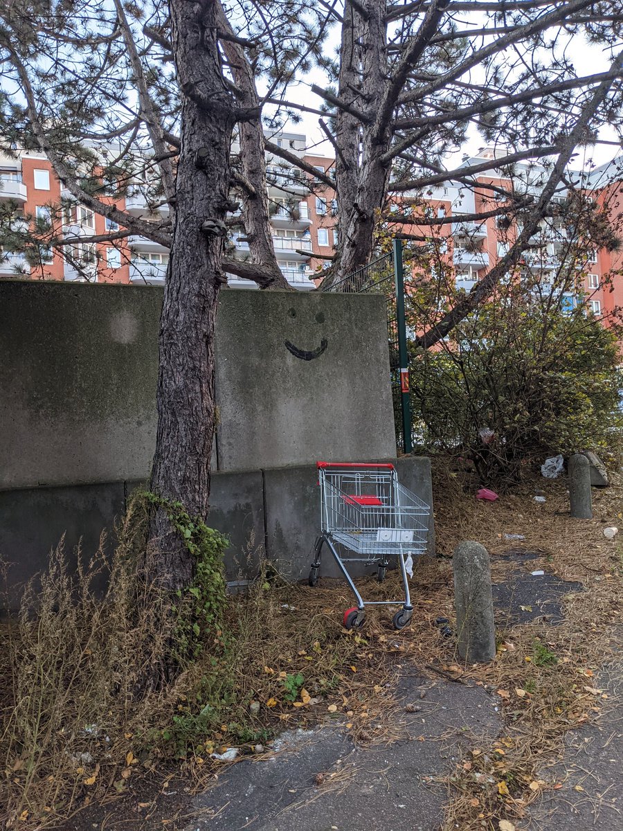 OZwald aus Hamburg, Stadtteil Billstedt. <a href="/Wagerlkunst/">Einkaufswagenkunst</a> #einkaufswagenkunst
