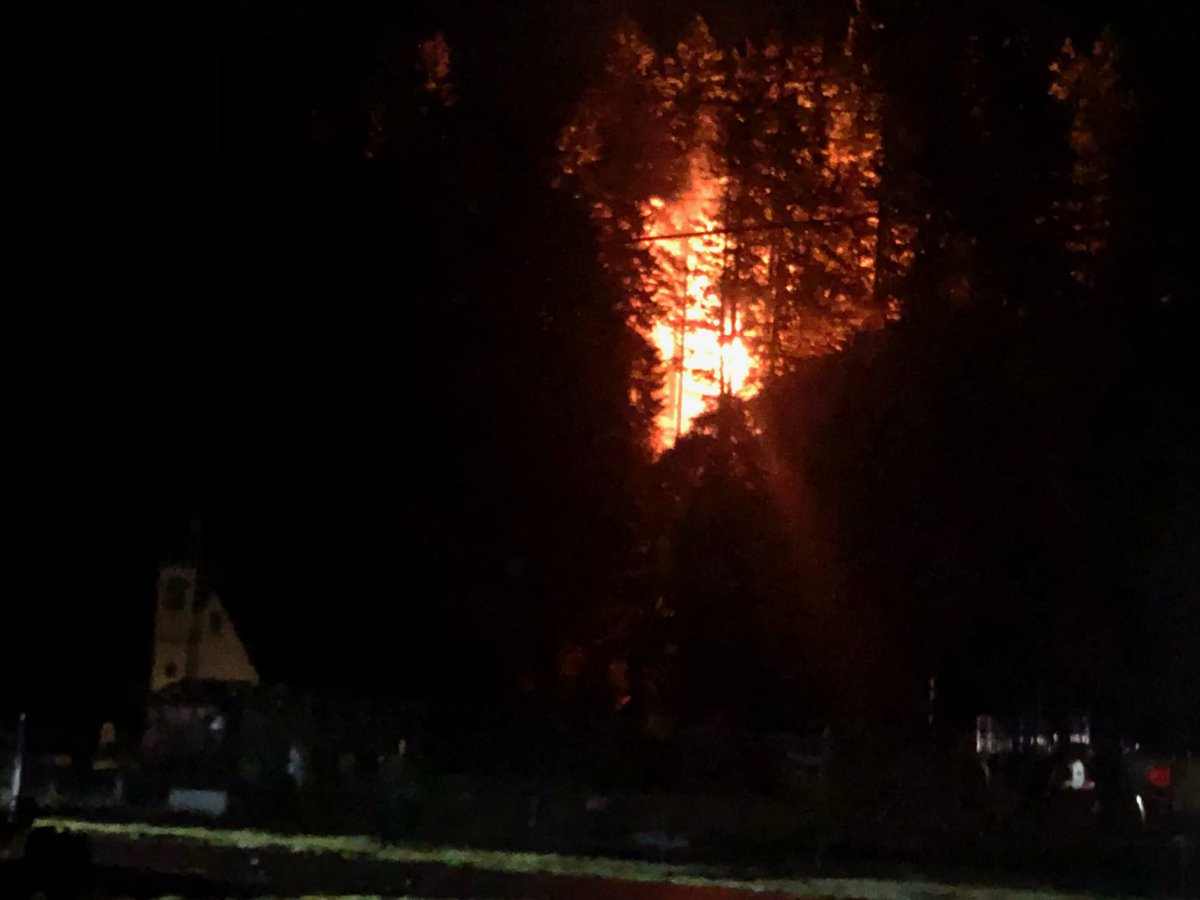 Puglaas's tweet photo. What a night… #BCStorm
The view behind our little house early this morning (a tree fell on the lines). Needless to say—the power is out.
Stay safe everybody — and thanks to the @bchydro crews out working hard. 🙏🏽 💨 🌧 #CapeMudge https://t.co/m4qNY1kSVz