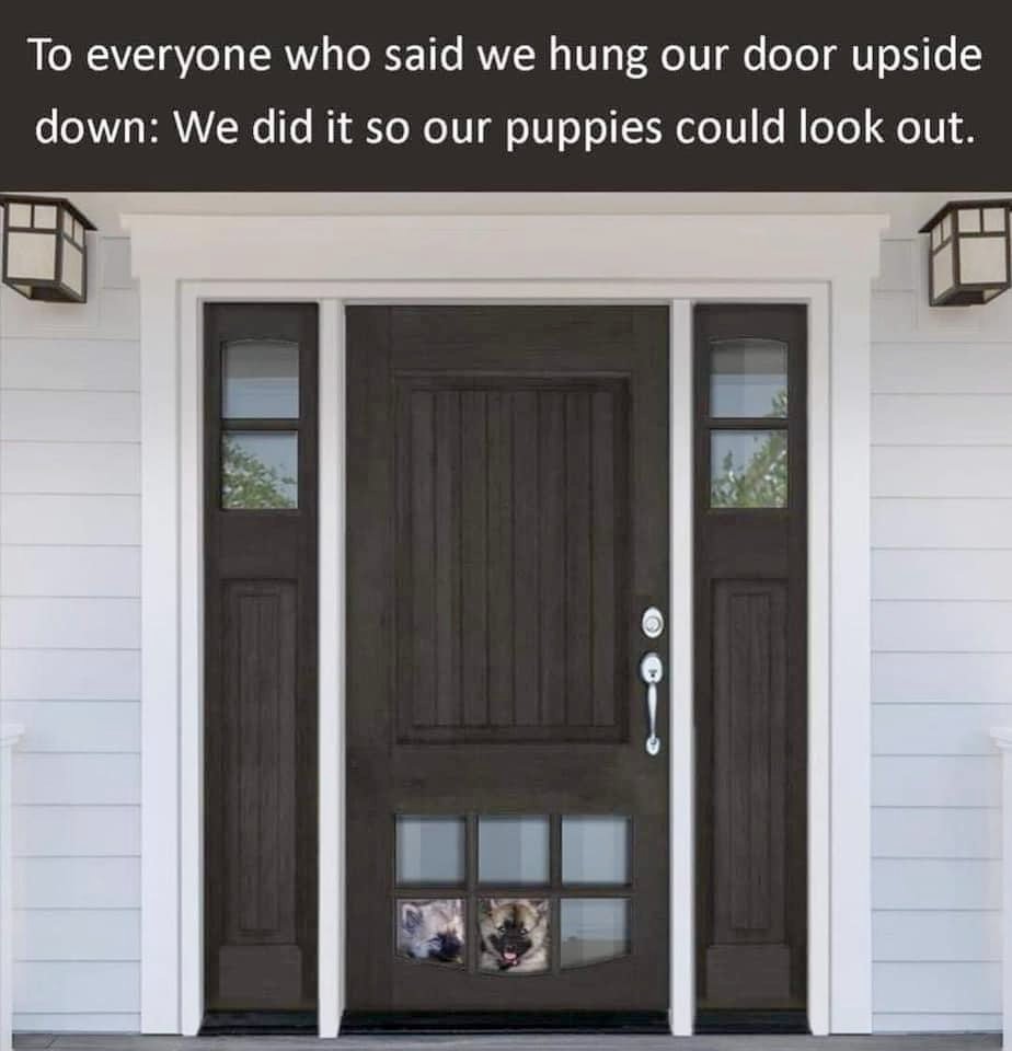 DoodleGoods's tweet photo. LOVE this idea! Whatcha think guys? Yay or nay?! 

#doglover #goldendoodle #labradoodle #doodlegoods #dogmom #DogsofTwittter https://t.co/kDPO5ttGJ0
