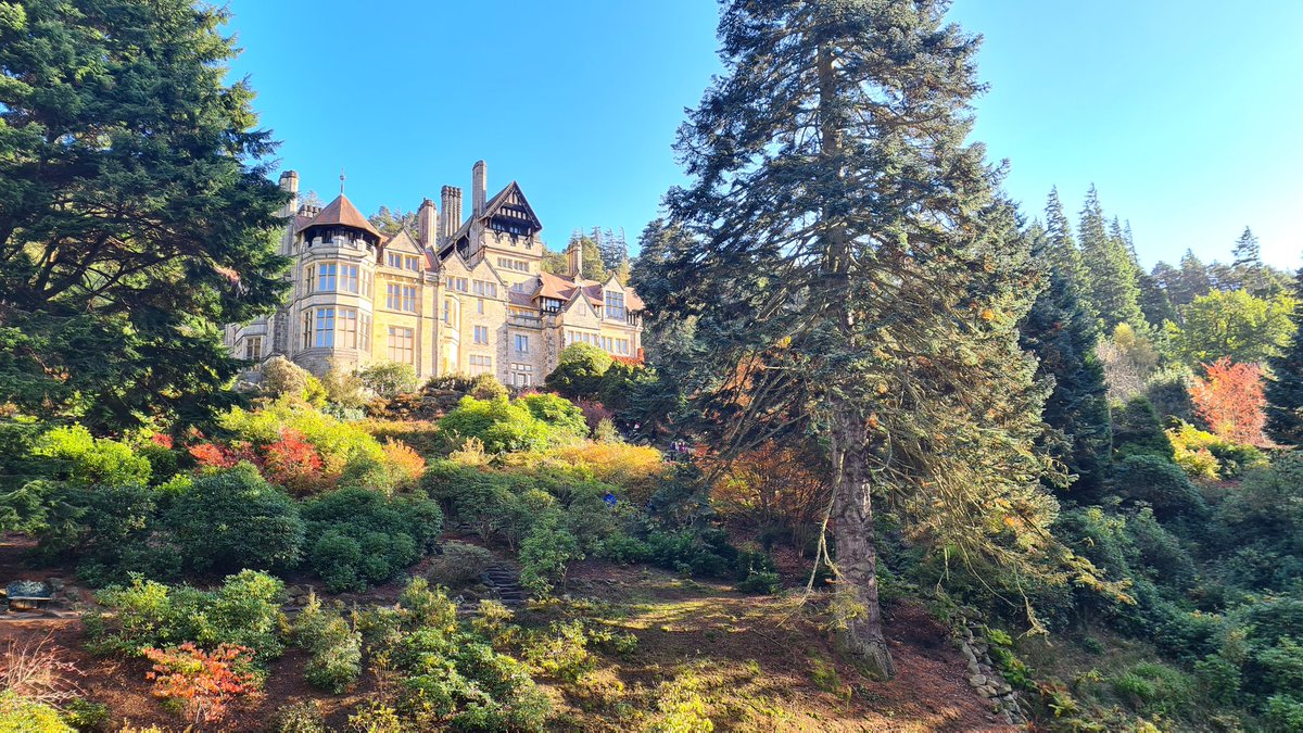 Miss__E2017's tweet photo. At the beautiful Cragside in Northumberland this afternoon. Very peaceful. https://t.co/oc8a07a0ff