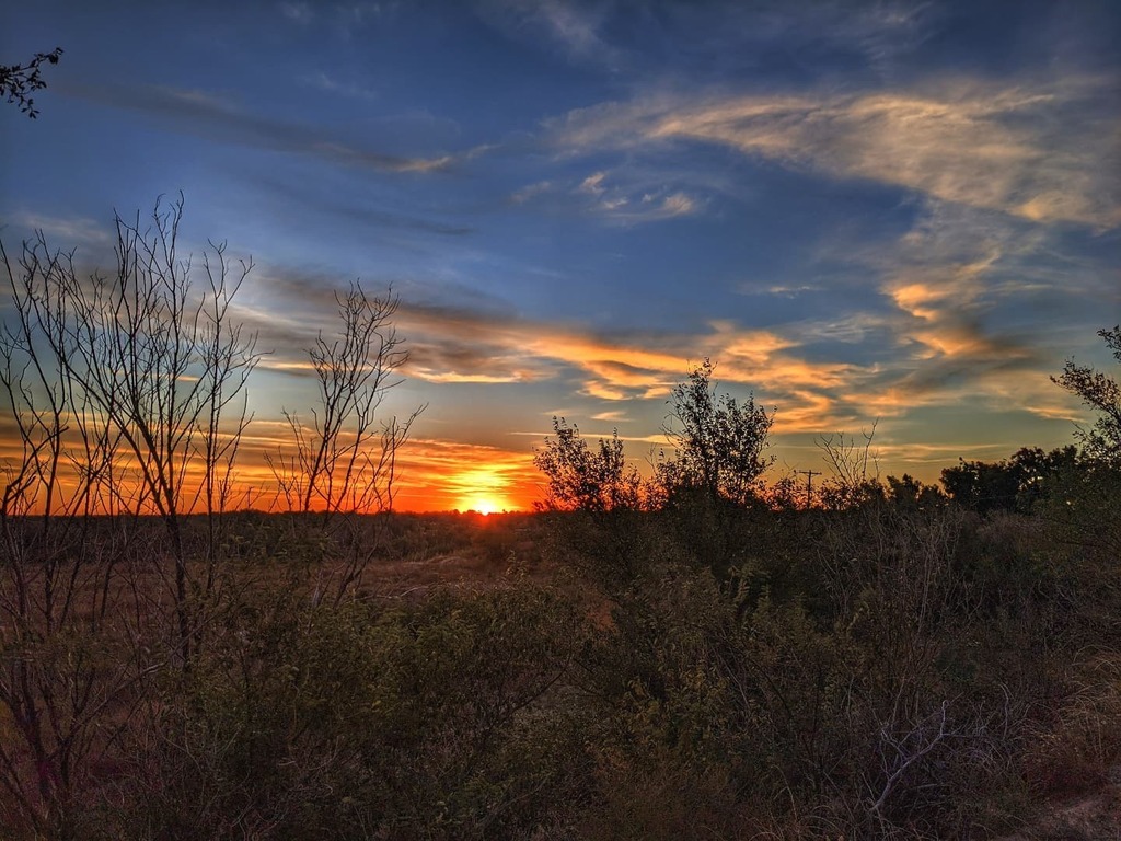 CamorlingaJr's tweet photo. Wake up Mr. West
#purposelypixel #teampixel #myamarillo #helloamarillo #sunrise #nature #igtexas #sun #amarillotx #pixel4a5g #madebygoogle https://t.co/9Tufq6HBlZ