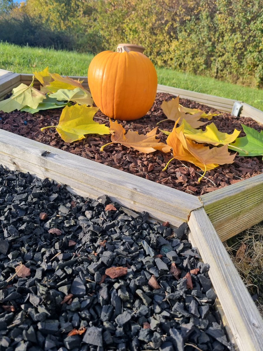 Adomast's tweet photo. We are in full autumn swing at Adomast today. 🍂Happy October half-term! 🎃

#October #Adomast #pumpkin #halfterm https://t.co/5GMm6xE3kU