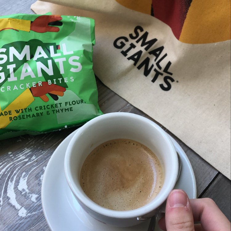 Monday motivation 😴😴 
Are you ready to kick off this week?

#foodie #startups #sustainable #edibleinsects #smallgiants