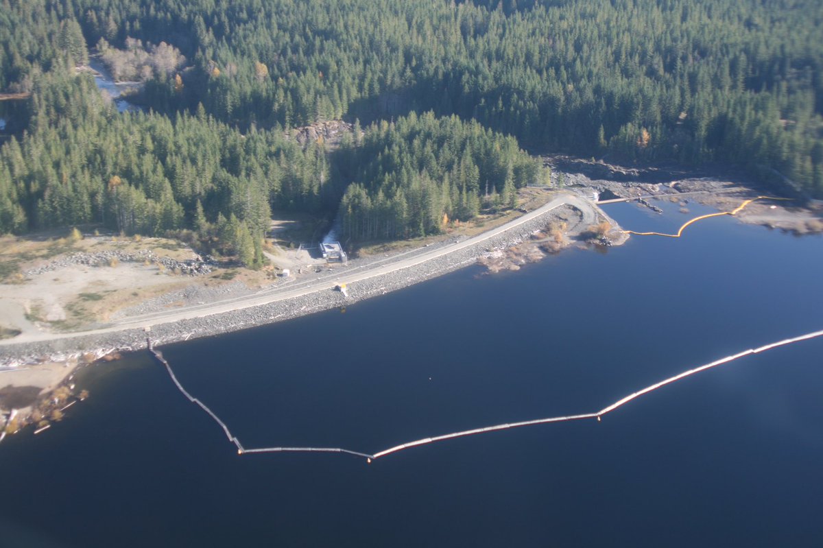 SWatson_BCH's tweet photo. Since October 16, the Elsie Lake Reservoir level has risen 6.8 metres (22’) and is now beginning to free spill over the spillway (file 📷). Usually at this level in December from storms. Early.
Flows go down the Ash River.
@ACRDgov #Alberni #BCStorm https://t.co/9tOVEF6vAX