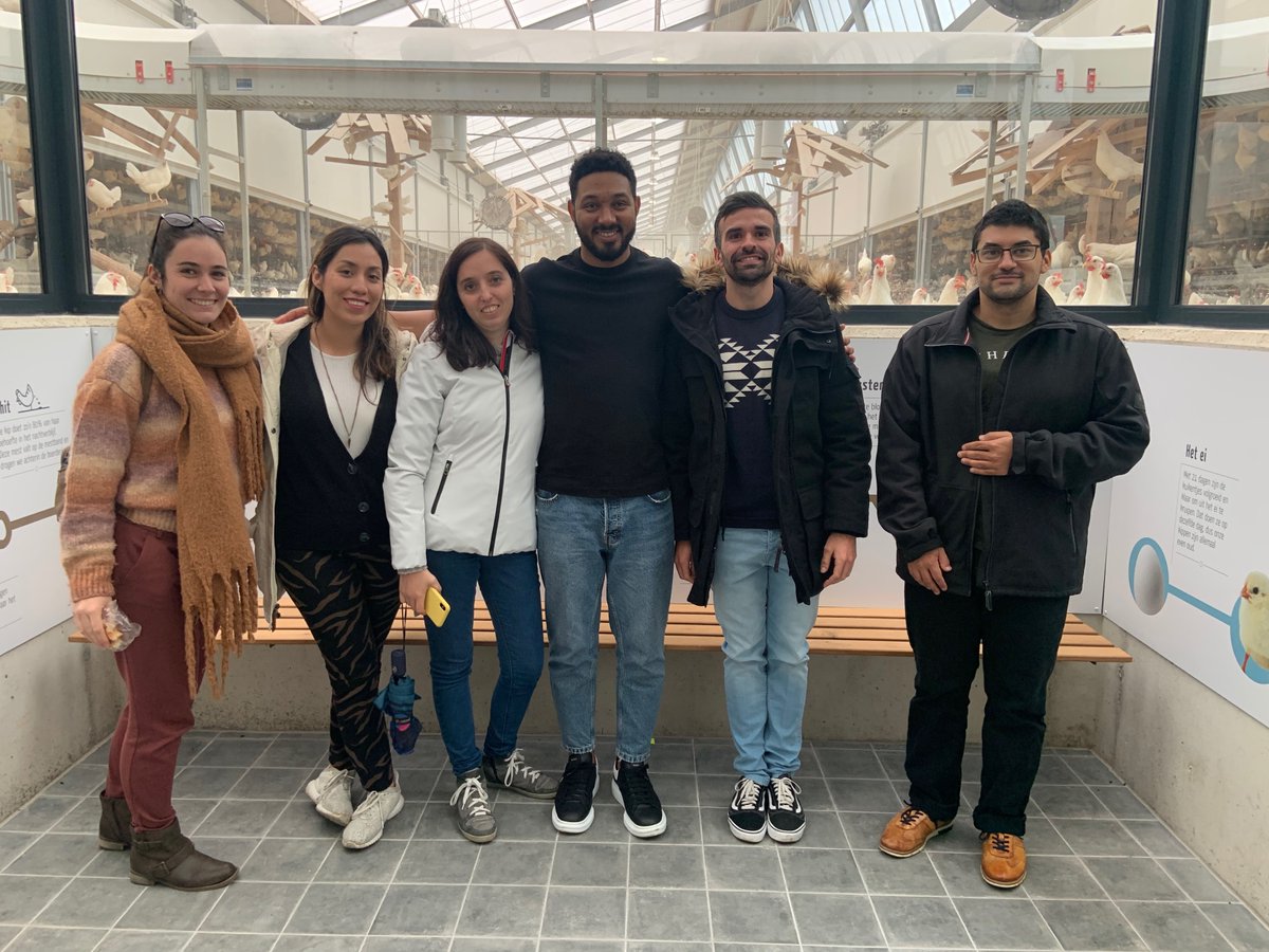 ChickenStress tweet media