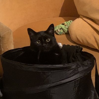 CoIsNotReal's tweet photo. #NewProfilePic https://t.co/zhXPtAIsGj