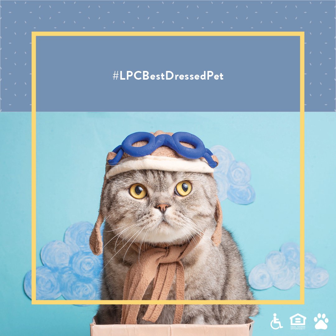 This Halloween, we're inviting all current LPC residents to get in the spirit of the holiday by showing off their best dressed best friend...four-legged friend, that is. We love to dress up our pets and know you do too! Show them off... #LPCBestDressedPet
lincolnapts.com/lpc-best-dress…