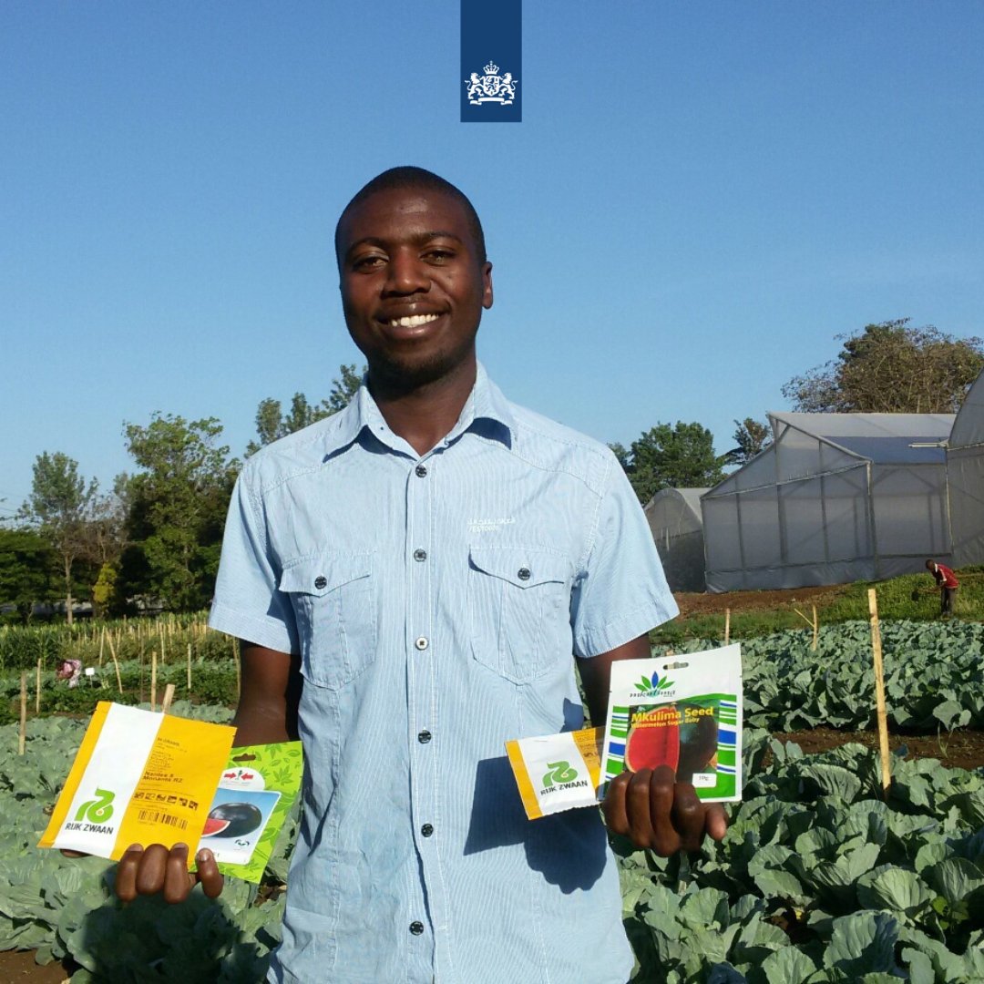 NLEnterprise's tweet photo. Dutch seed companies @RijkZwaan and @eastwestseed operate in #Tanzania because it has the right climate. But they want to use their high-quality seeds to help local farmers, too. Better seeds = better yields.➡️ https://t.co/mcHbkFbp82
@DutchMFA #FDOV #Seeds #agriculture https://t.co/Sdr7TKxt67