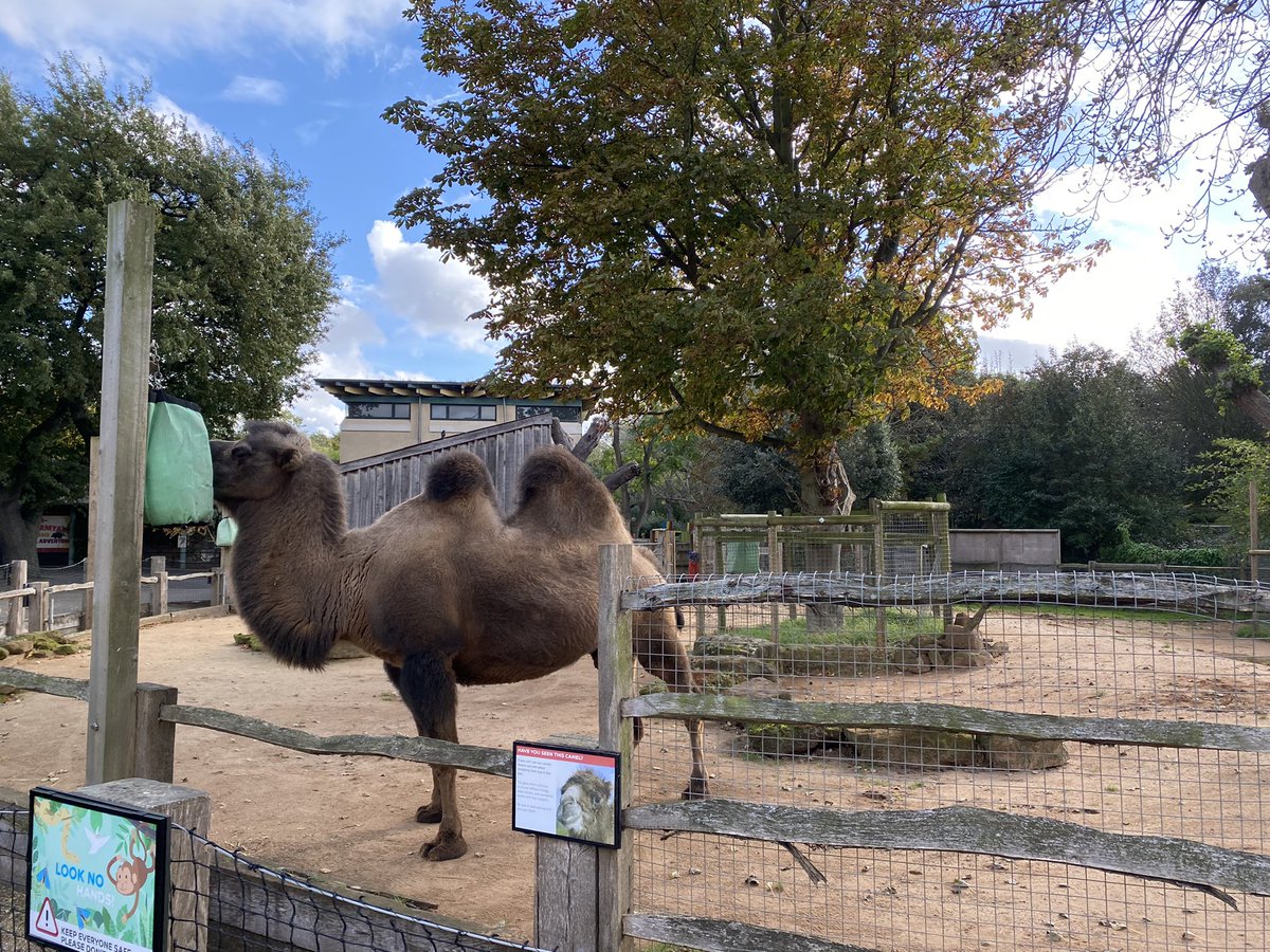 Katerina tweet media