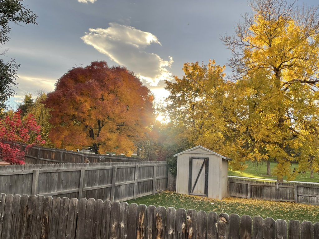 goavs925's tweet photo. Fall in the hood. #swdenver #fall #coloradoblueskies https://t.co/Dk1kugg5fK