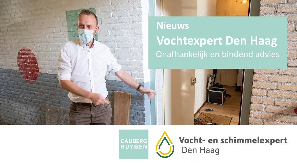 Cauberg_Huygen's tweet photo. Wat als een #woningcorporatie en #huurder er samen niet uitkomen met een #vochtprobleem? In Den Haag is gekozen voor een gez. aanpak: de Vochtexpert Den Haag. Deze geeft #onafhankelijk en #binded advies.
Het @ADnl schreef erover:
https://t.co/kawexoiC3W
#VochtexpertDenHaag https://t.co/w0ep6sznQc