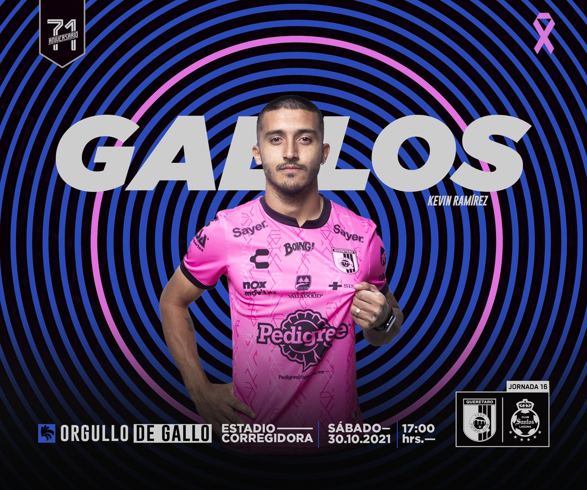 Gallos Blancos 🐓 tweet media
