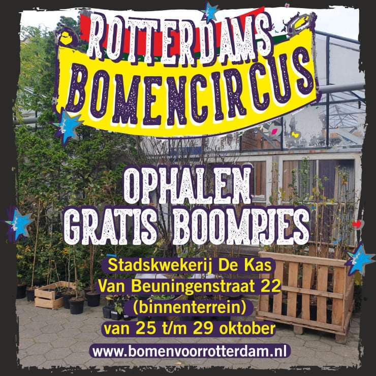 milieucentrum's tweet image. Nog tot 29 oktober bij #Stadskwekerij De Kas #gratis  boompjes af te halen tussen 16.00 - 18.00u‼ Binnenterrein Van Beuningenstraat 22 (Blijdorp).
Kijk voor meer informatie over ('t volgende) #bomencircus op: bomenvoorrotterdam.nl ⚡Powered by: @PostcodeLoterij &amp;amp; @boom_plan 🌳