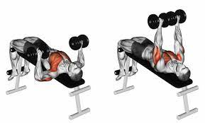 ベンチプレスのtwitterイラスト検索結果