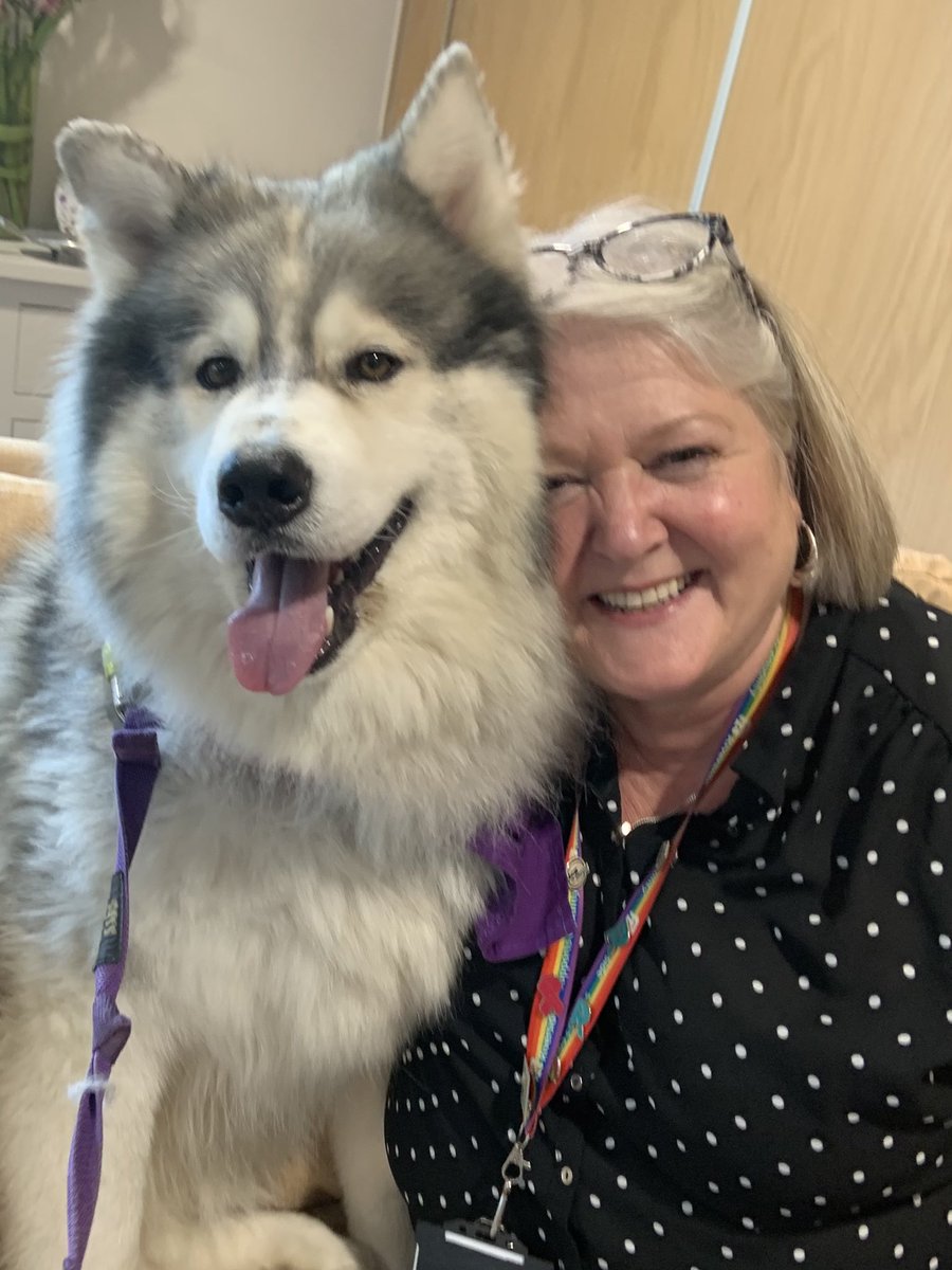 ShellyRiv1's tweet photo. Well isn’t work fabulous when you get to do this?🥰Thunder the Therapy Husky at Harrison Park today #hullextracare @RuthLeadsRd @pozCG @Riv_SarahCoward @chuchi3651 @AlanMarples @RiversideCarol @ConnecttoHull @ClaireRoute https://t.co/sYPgIG9Bly