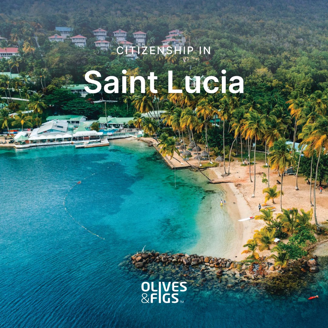 Dominated by high peaks and rain forests in the interior, the island is known for the twin peaks of Gros Piton and Petit Piton on the southwestern coast.

Stay in the loop for more info.
🌍 olivesnfigs.com/stlucia.php
📧 info@olivesnfigs.com
📲 wa.link/nvuaip