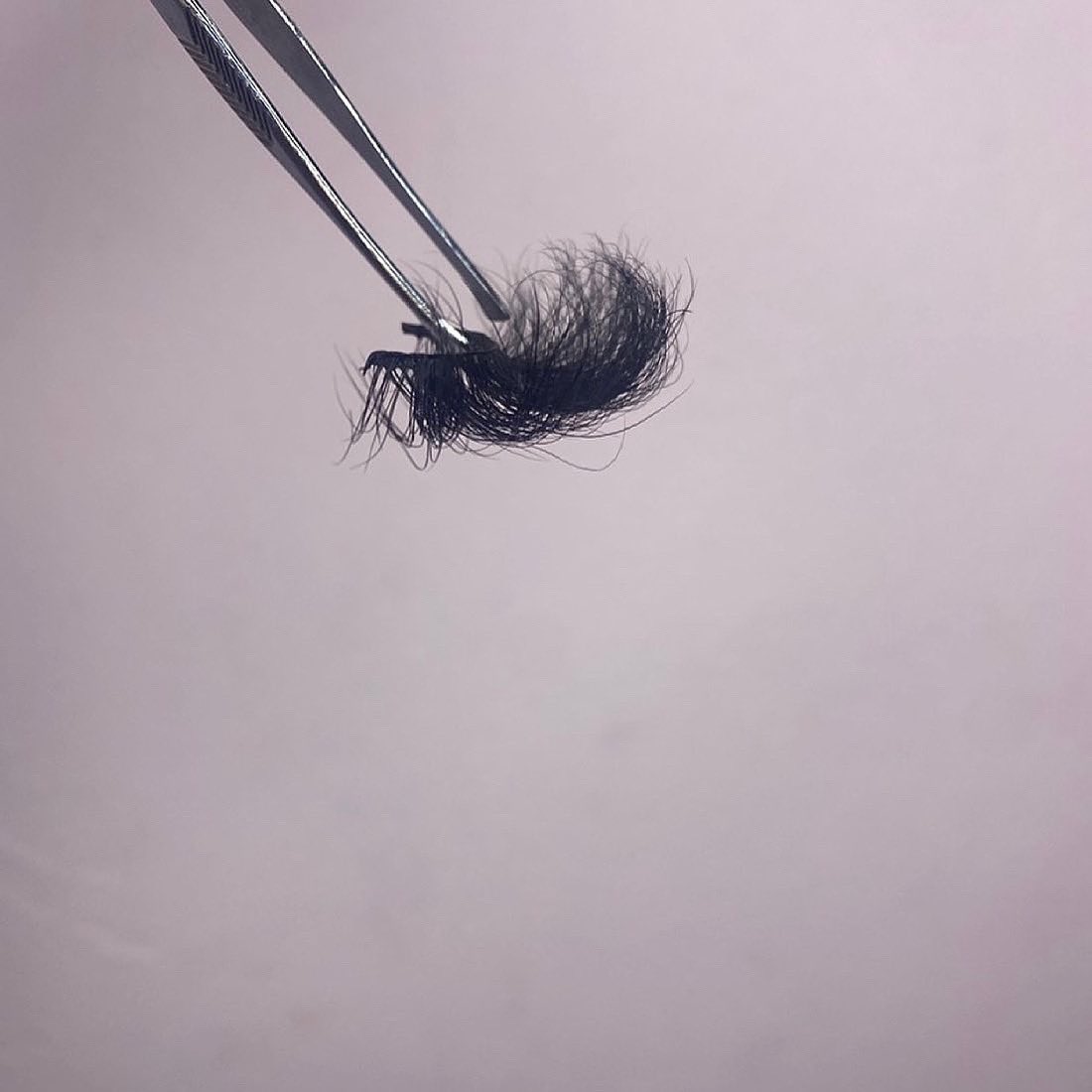 lucyslashes_'s tweet photo. @younggjayy13 All lashes are BOGO using the code “Spooky” link in bio✨🛍 https://t.co/EUXiYUmfyw