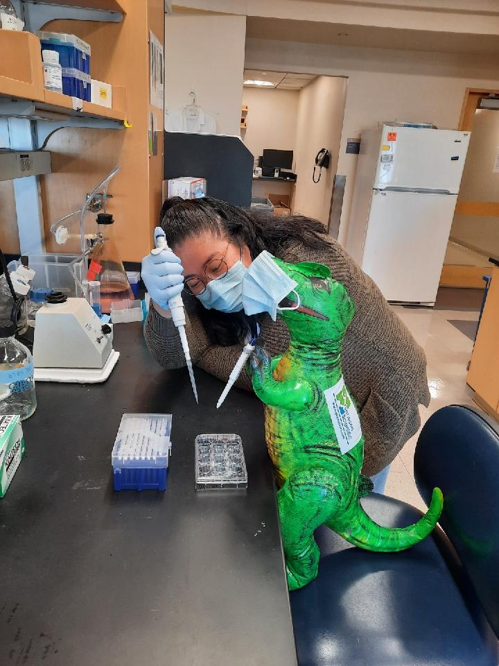 MGH_Mucosalists's tweet photo. Welcome to the newest member of the #MIBRC, Eugene, Ph.D. (Dinosaur of Philosophy) from @geneseesci! As you can see, Eugene has already been quite productive &amp; we look forward to his research https://t.co/HVKUG1VgYl