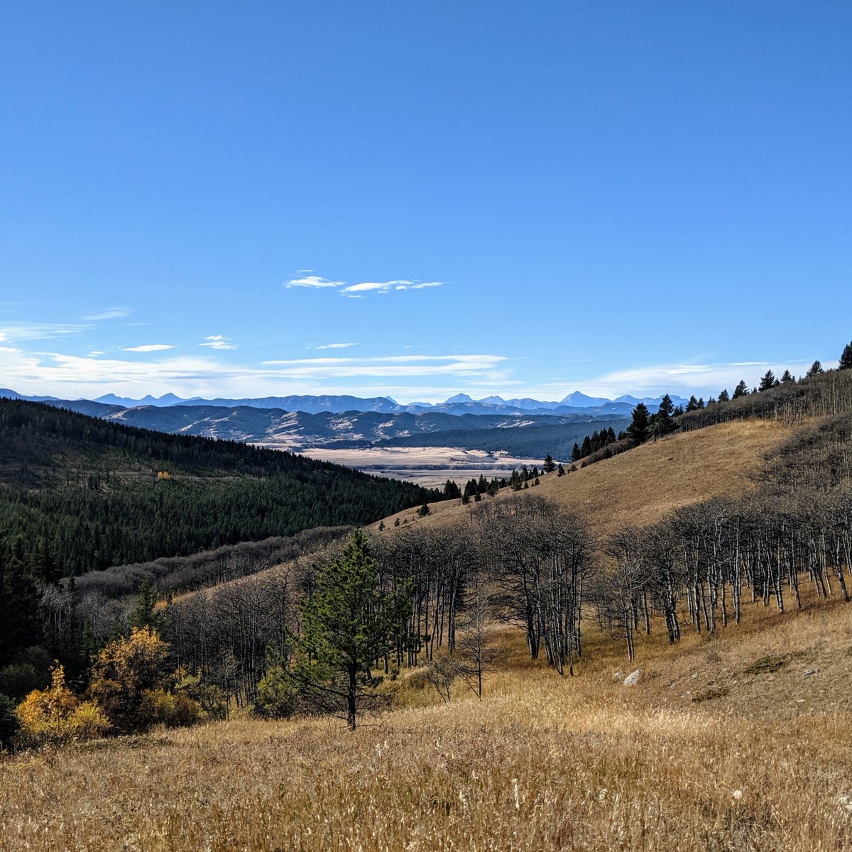 mdofranchlandag's tweet photo. Autumn views in the Porcupine Hills https://t.co/zRJg67qiRa