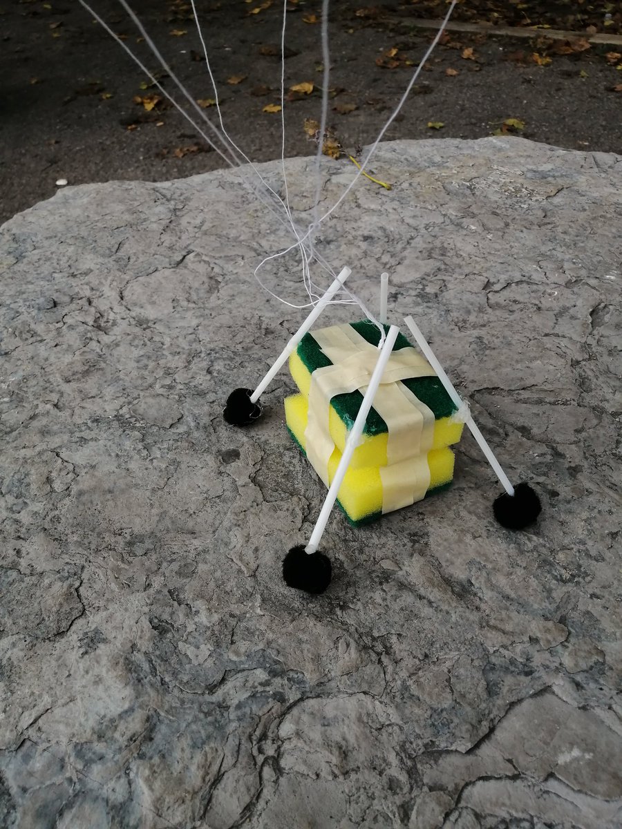 AndrewWallman's tweet photo. Just finished our Mission to Mars unit of study. Meteor data collection. Martian lander creation. Plant growing inquiry. Invasive Species project. Lots of data collected to evaluate their understanding without using a Test. @GEDSB @TG2Chat @DDSSraiders #grade9science https://t.co/2E9dxyueoy