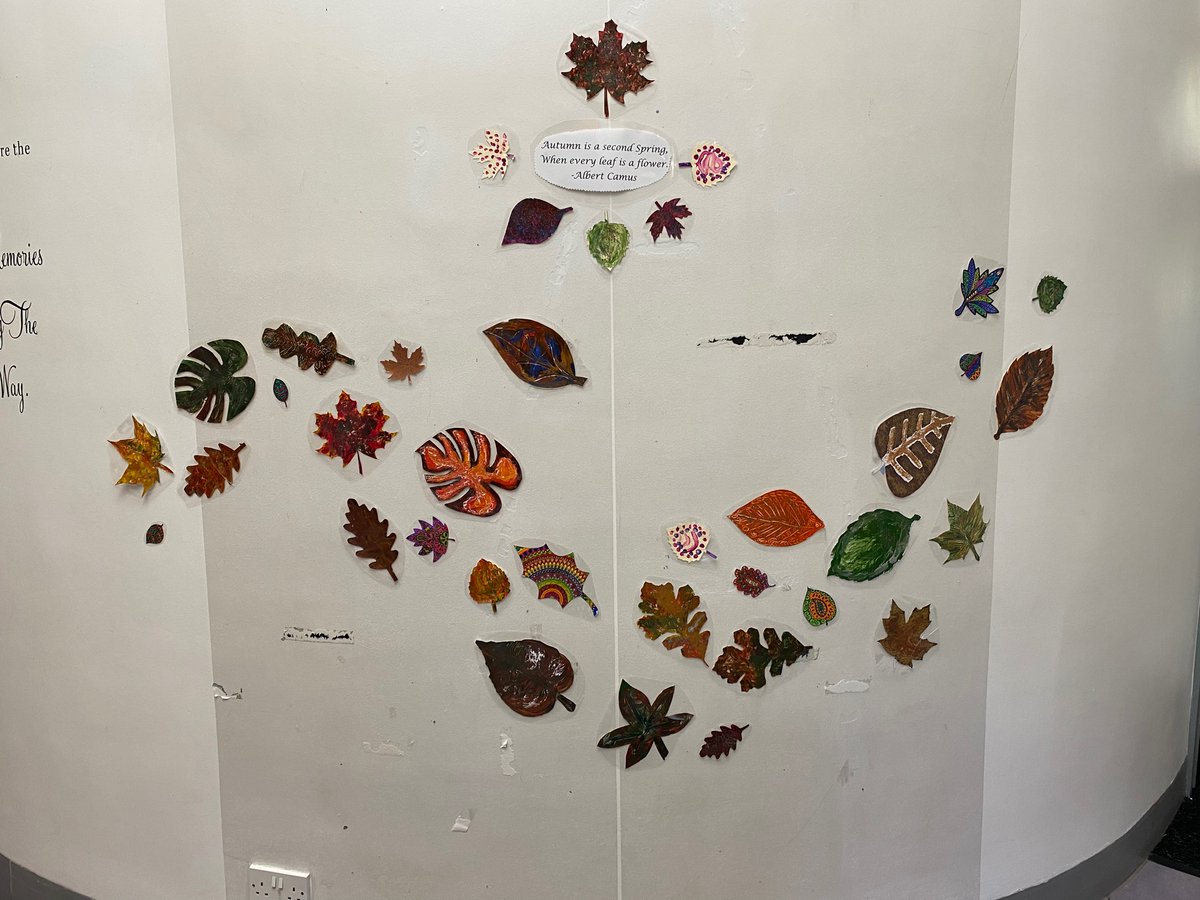 Tanyajo1989's tweet photo. It’s definitely not summer anymore! New collaborative wall art project to represent the change in season. @bryngofal patients got together to do a variety of methods in decorating leaves. Great to assess motivation, creative problem solving and fine motor skills. https://t.co/p7FUA3xMca